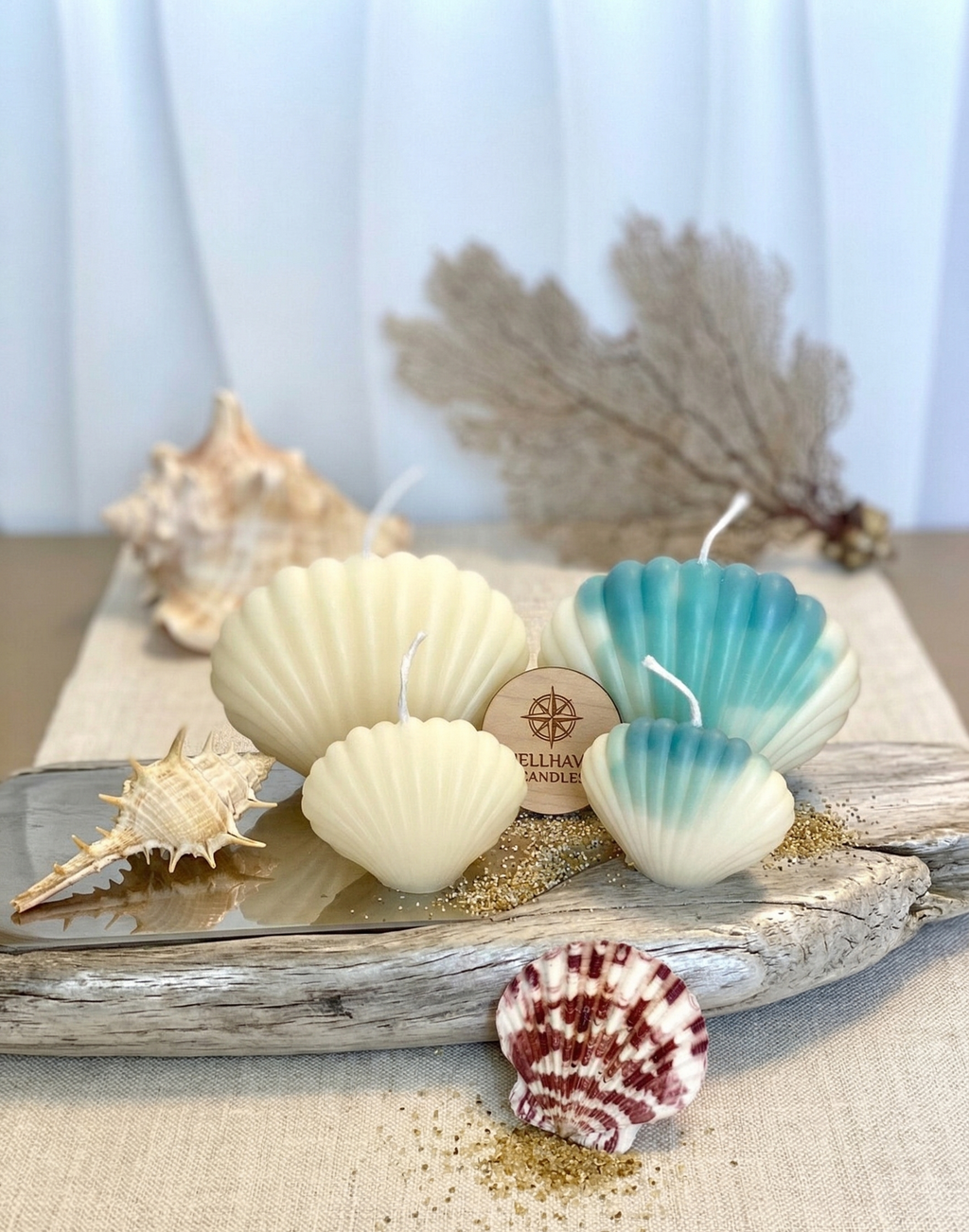 Shell Candle | Handmade Coastal Decor-4