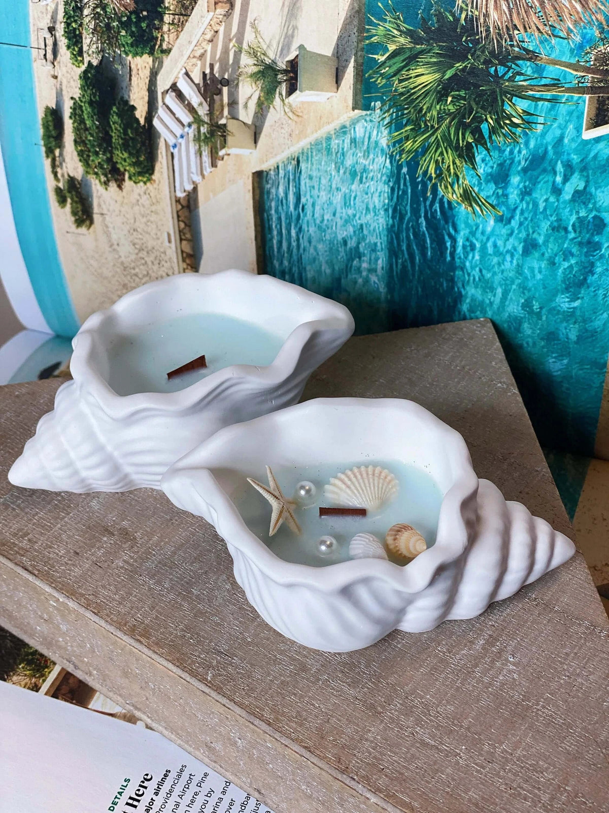 Ocean's Whisper Sea Shell Candle | Jesmonite Vessel-1