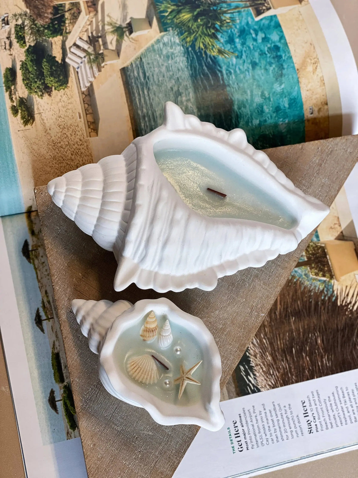 Ocean's Whisper Sea Shell Candle | Jesmonite Vessel-3